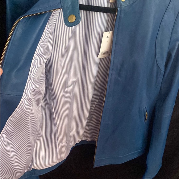 Blue Leather Jacket - Picture 6 of 6